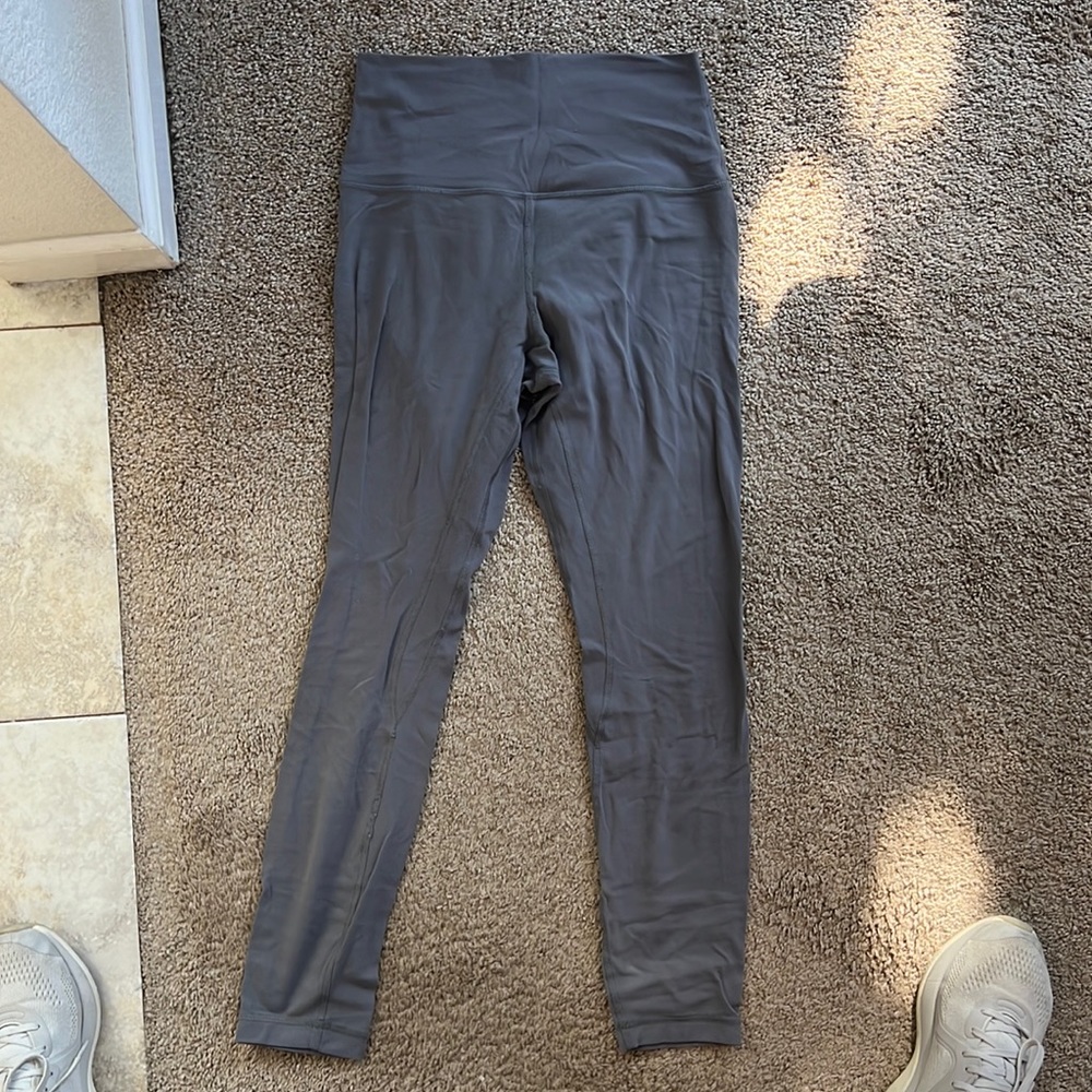 Grey Lulu aligns